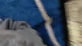 酒店约炮刚刚离异的女同事把她的B玩的湿漉漉的完美露脸