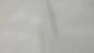 林虎将军与前女友日常