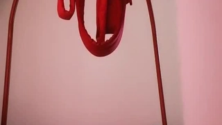 诱人的拉丁