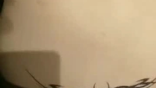 丰满的摩洛, 她的日本吹箫的时刻惊奇