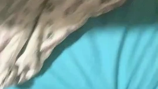 大清早的表妹需要性帮忙