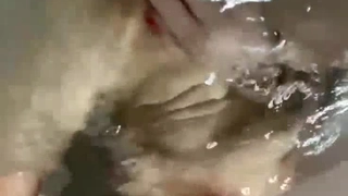 极品网红萝莉Yuzuki柚木~全新裸拍照片流出!完美胴体唯美诱惑~